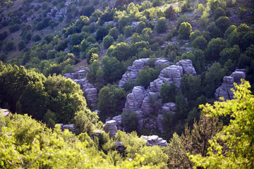 beautiful view of a stone forest near Beloi Viewpoint in the parkos nationale of Vikos-Aoos