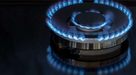 Kitchen gas stove burner with blue flames on black background.