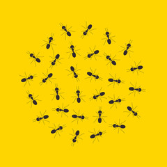 Chaotic running ants on yellow background. Crawling insects colony in an anthill. Teamwork concept.  Vector cartoon illustration. 