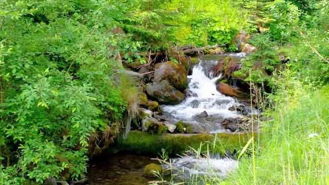 water stream in the forest among the rocks.  beautiful nature scenery in dappled light