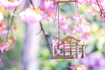 Spiringtime Blossoms