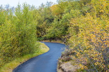 Walking path in Dimmuborgir near Myvatn in Iceland