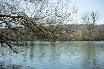 Landscape River. Spring