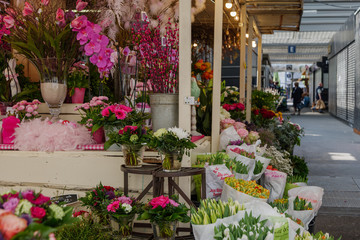 Naklejka premium View of colourful various flowers in plastic box are sold at corridor in front of flower stall or floral shop is located in outdoor market in Europe. Typical atmosphere of flower store. 