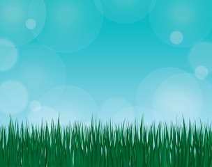 Fototapeta na wymiar Green lawn. Closeup template illustration banner for Easter with copy space. Realistic vector grass side view with blue sky.