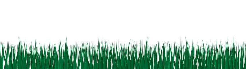 Realistic vector grass illustration from side view. Green lawn.