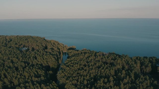 moving forward over the green northern Pine forests (lungs of the planet) on the bay - Aerial Flight 
