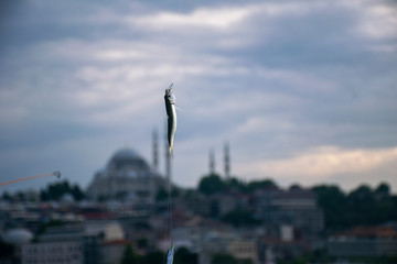 Fototapeta na wymiar Suleymaniye skyline behind the fish. Suleymaniye Mosque on the background of fish hook