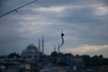 Suleymaniye skyline behind the fish. Suleymaniye Mosque on the background of fish hook