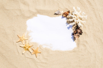 Obraz premium Frame with seashells, coral and starfish on golden sandy beach. Summer vacation concept with copyspace for text message