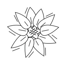Sunflower line icon, outline vector sign, linear style pictogram isolated on white. Symbol, logo illustration. Editable stroke.Nature, botany, beauty, Flower concept.