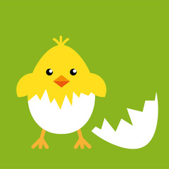 Happy easter egg chick sign, background vector