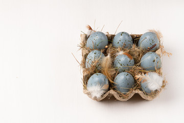 Easter eggs on white background. Blue eggs with feather