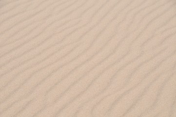 Fototapeta na wymiar Dunes of the beaches of Valdevaqueros Tarifa in Cádiz