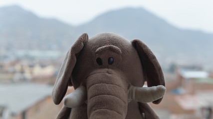 Elefante de peluche sobre ventana
