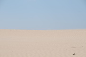 Dunes of the beaches of Valdevaqueros  Tarifa in Cádiz