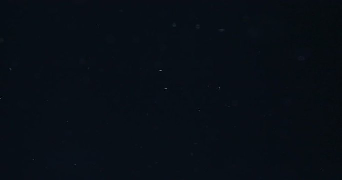 Natural Floating Organic Particles On beatiful relaxing Background. Glittering Particles With Bokeh. 