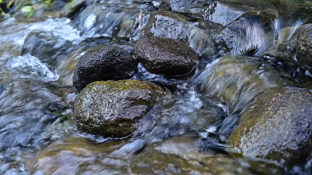 River stream in forest with volcanic rocks