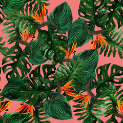 Original seamless tropical pattern with Strelitzia  and leaves on pink  background. Seamless pattern with colorful leaves of colocasia, filodendron, monstera. Exotic wallpaper. Hawaiian style © Olena