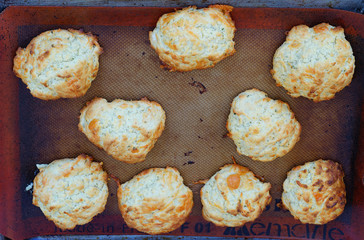 Baking homemade cheese and garlic biscuits