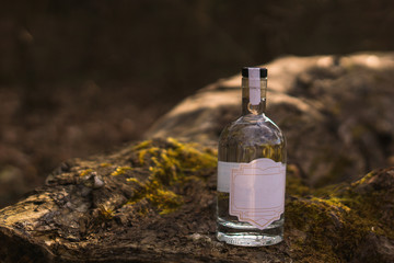 A bottle of alcohol stands in the forest, on a tree, near moss, in the setting sun, gin, vodka