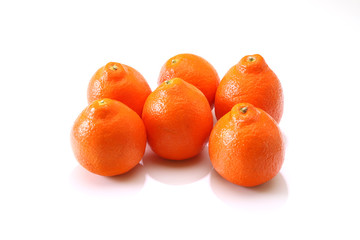白背景のミネオラオレンジ