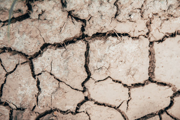cracked earth. drought