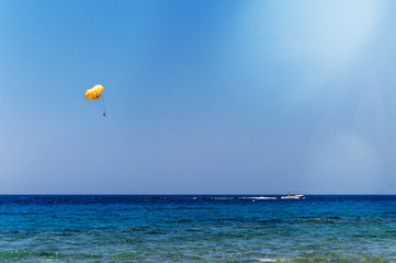 Skydiver flying with a yellow parachute by speed boat on sea. Skydiver control parachute down on surface of the sea