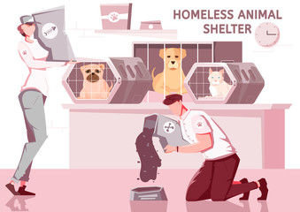 Homeless Animal Shelter Composition