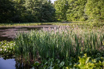 jeziorko © kolorowekadry