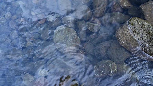 Stones in water flowing river