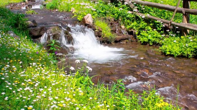 water stream among the meadow with wild herbs. beautiful close up scenery in countryside