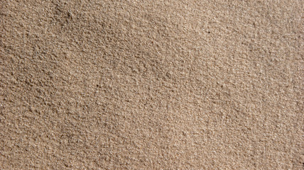 Sand Texture