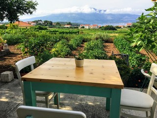 A table for a place to have dinner beside a sprawling wine vineyard growing the local grk grapes with the small town of Lumbarda in the background, on Korcula island in Croatia.