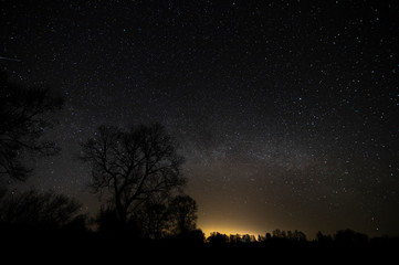 Landscape at night, sky full of stars with tree silhouette  (high ISO photography)