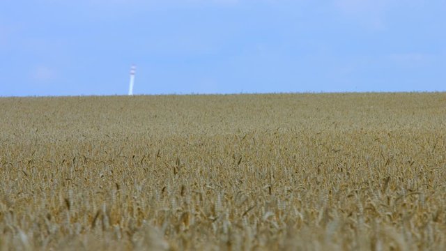 Zborze Bilder Durchsuchen 923 Archivfotos, und Videos