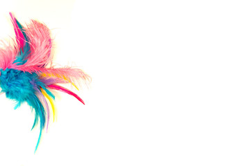 Isolated multi color fluffy feathers isolated over white background. 