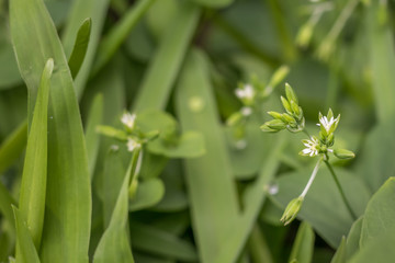 Being small doesn't mean you cannot have everything