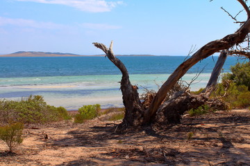 Landscape in Lincoln National Park, South Australia