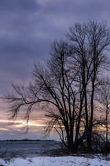 Fototapeta na wymiar Silhouette of trees on shoreline of Lake Ontario Presquile Park Brighton Ontario Canada