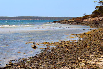 beach and sea in Lincoln National Park, Eyre Peninsula