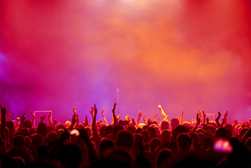 Obraz na płótnie Canvas crowd at the rock concert