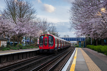 In March a train approaching kews gardens tube station in west London, UK. On both sides of the...