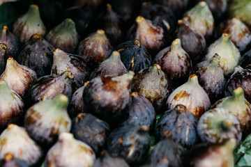 fig