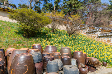 Traditional house full of daffodils in old-fashioned countryside