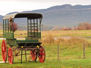 Australia Mole creek Tasmania  campo con sierras carroza