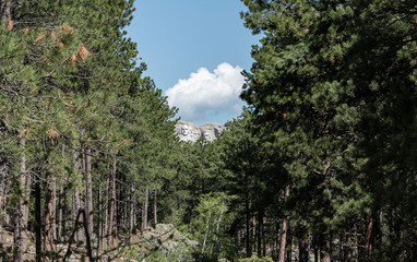 Fototapeta premium Mt Rushmore view