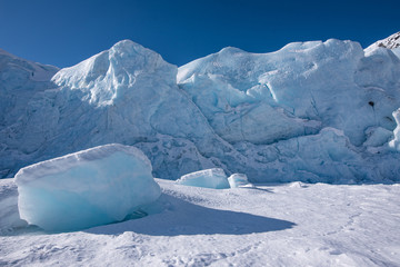 Fototapeta na wymiar Portage Glacier