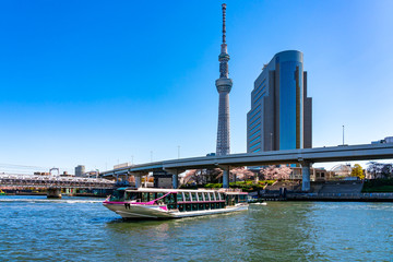 Naklejka premium 春の隅田川