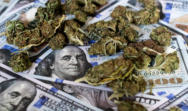 Investing in the Cannabis Industry